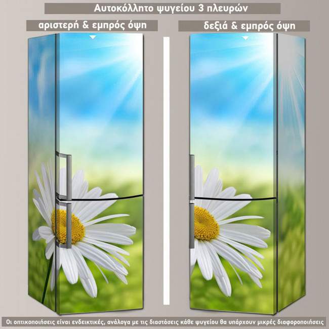 Fridge sticker Daisy at sun