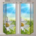 Fridge sticker Daisy at sun