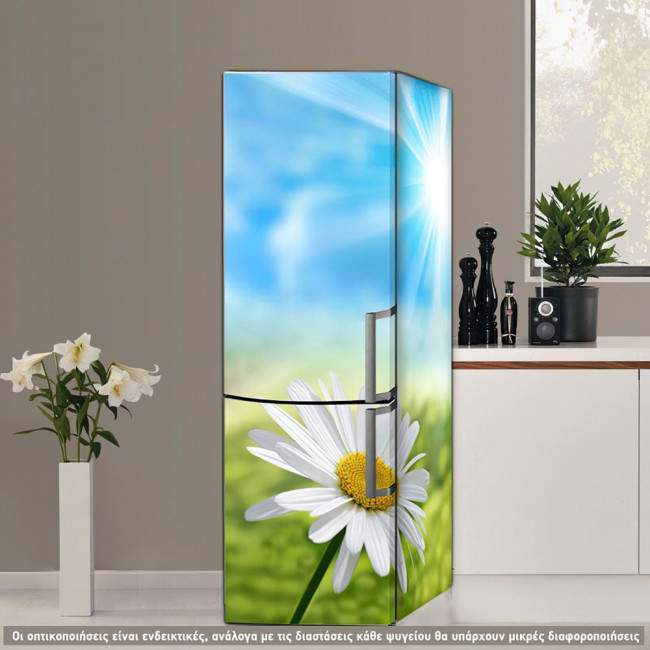 Fridge sticker Daisy at sun