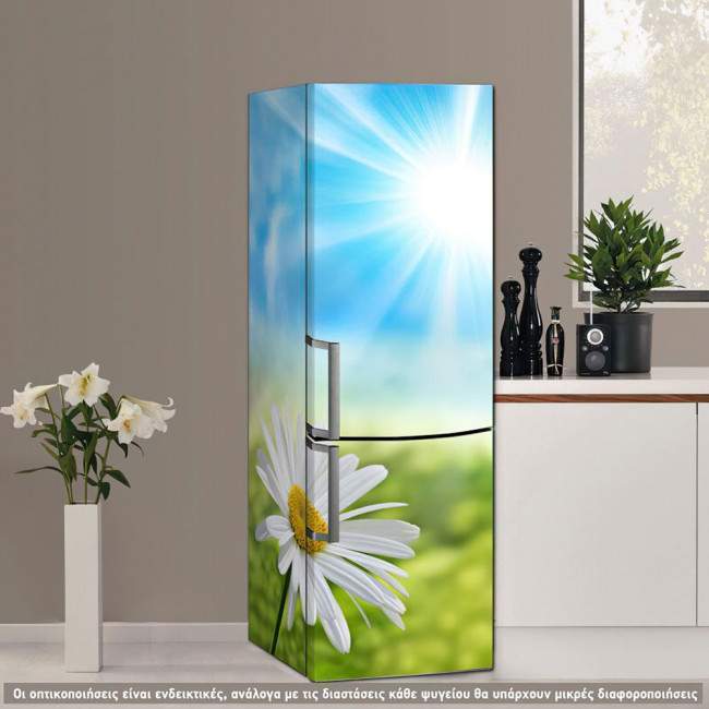 Fridge sticker Daisy at sun