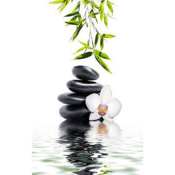 Αυτοκόλλητο πόρτας White orchid  and bamboo 2