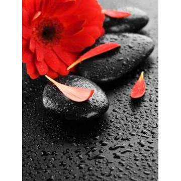 Φωτοταπετσαρία, αυτοκόλλητο πόρτας προσωποποιημένο 2