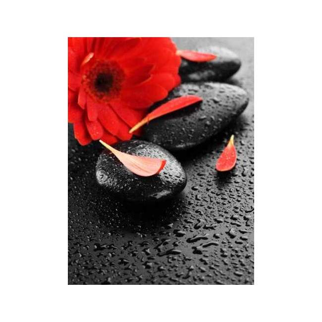 Πίνακας φωτοταπετσαρία,  Door sticker  σε κάθε διάσταση