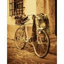 Ποδήλατο στο Φράχτη ,Φωτογραφική ταπετσαρία