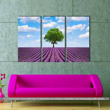 Canvas print Horizon,  3 panels