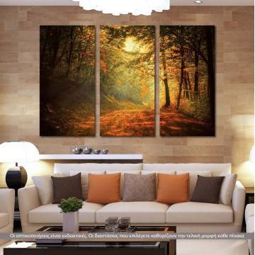 Canvas print Forest memories,3 panels 2