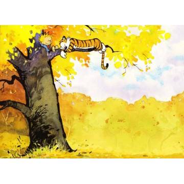 Wallpaper Boy and the tiger 2