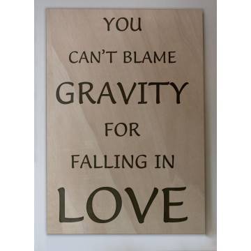 Ξύλινη πινακίδα You cant blame gravity