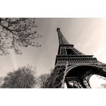 Wallpaper View of the Eiffel Tower 2