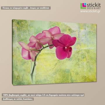 Canvas print Pink orchid 2