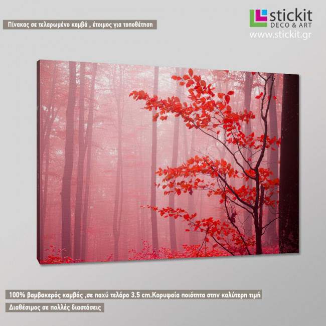 Canvas print Forest magic mist, side