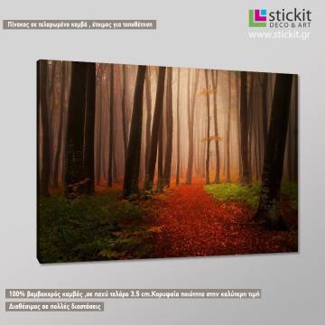 Canvas print Foggy autumn morning Framed canvas View 1 2