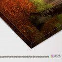 Canvas print Foggy autumn morning, detail