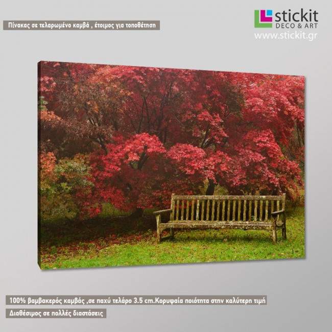 Forest bench, πίνακας σε καμβά, κοντινό