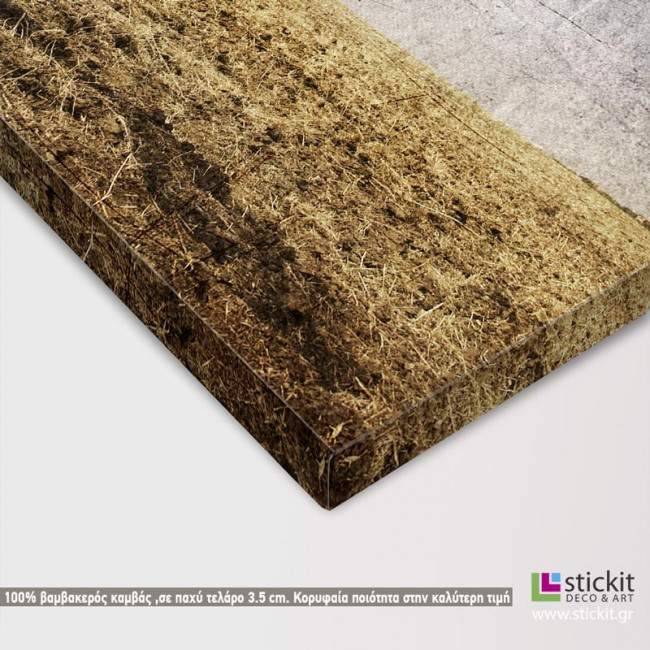 Umbrella at field,  πίνακας σε καμβά, λεπτομέρεια