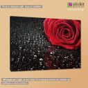 Canvas print Rose with water drops, side