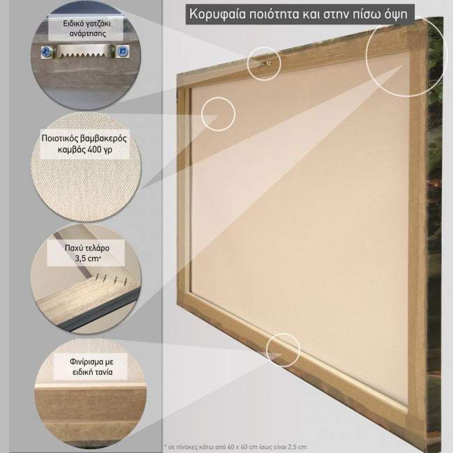 Canvas print Butterfly lady