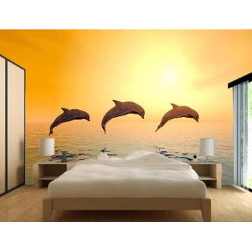 Wallpaper Dolphins at sunset