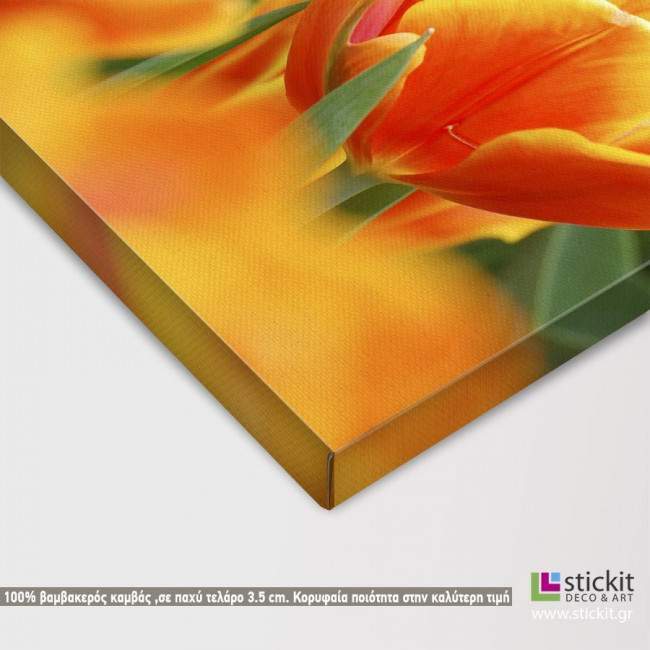 Πίνακας σε καμβά Ροζ τουλίπα, καμβάς 8