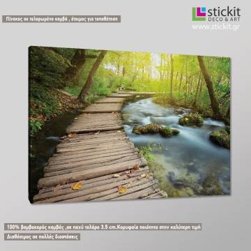 Πίνακας σε καμβά Περίπατος στο πάρκο Καμβάς τελαρωμένος Όψη 1 2