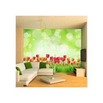 Wallpaper Tulips field