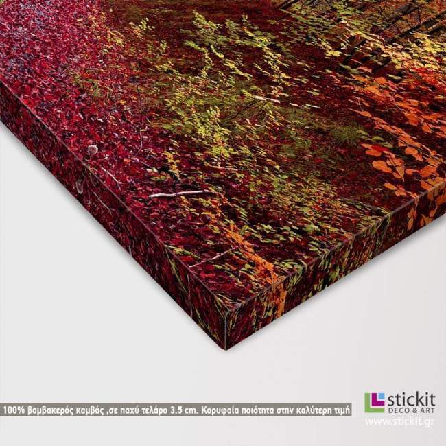 Canvas print Autumn colors, detail