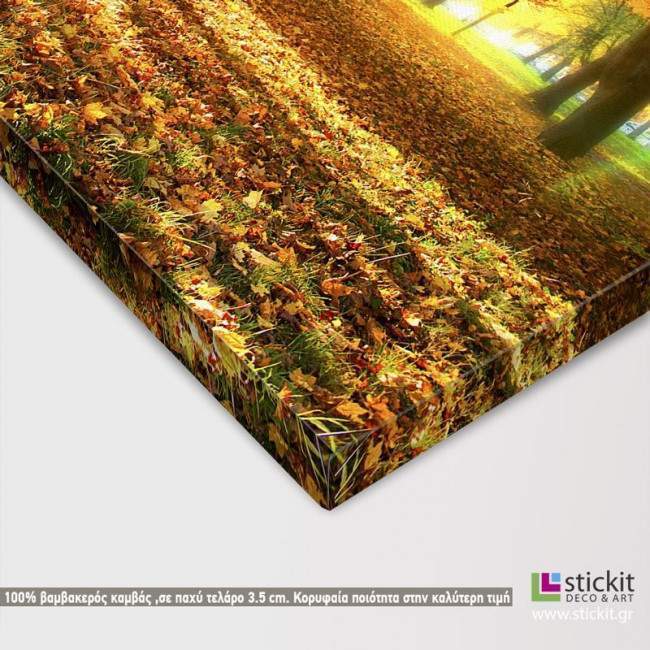 Canvas print  Autumn sunrise, detail