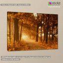 Canvas print  Autumn sunbeams, side