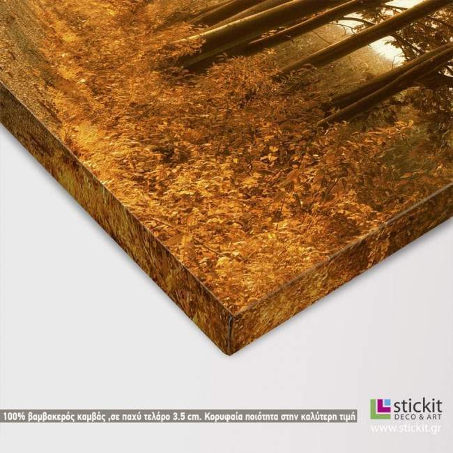 Canvas print  Autumn sunbeams, detail