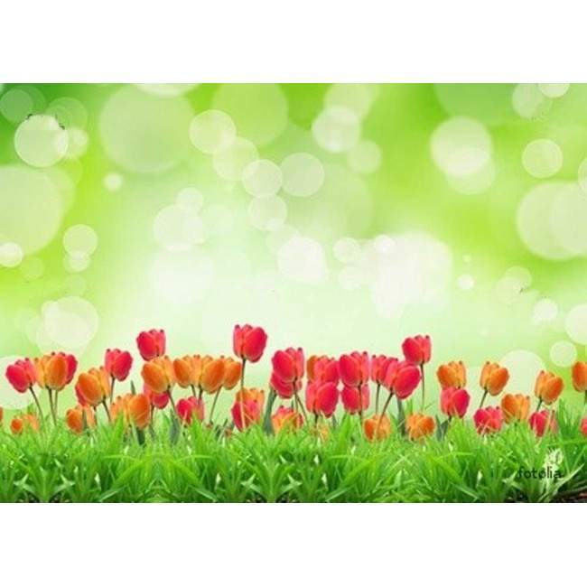 Wallpaper Tulips field