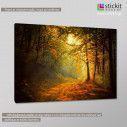Canvas print  Forest memories, side