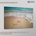 Canvas print  Starfishes, side