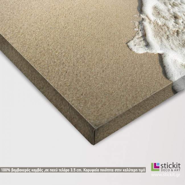 Canvas print  Starfishes, detail