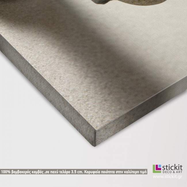 Canvas print Stones scale, detail