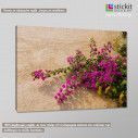 Canvas print Buckwheat and wild flowers, side