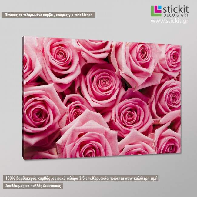 Pink roses, πίνακας σε καμβά, κοντινό