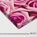 Canvas print Pink roses, detail