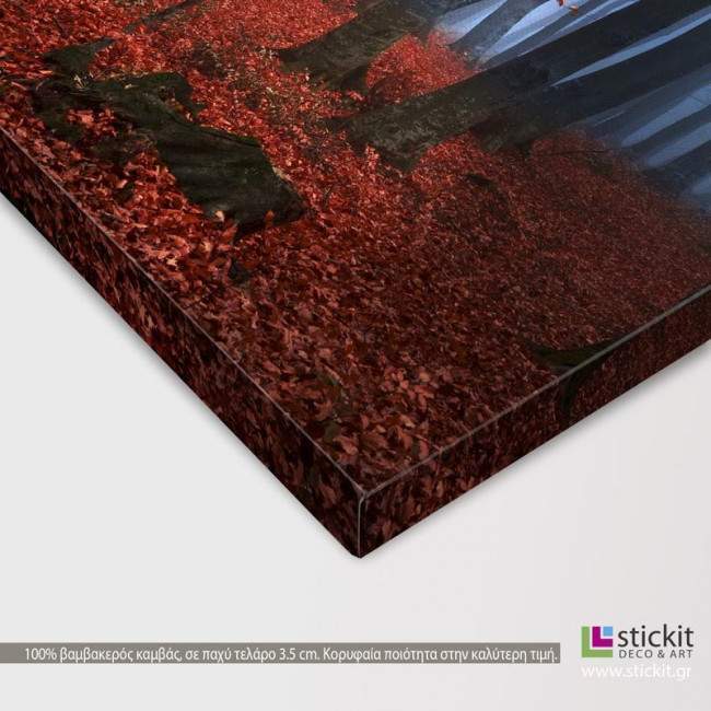 Canvas print  Autumnal foggy forest I, detail