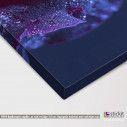 Canvas print Purple rose drops, detail