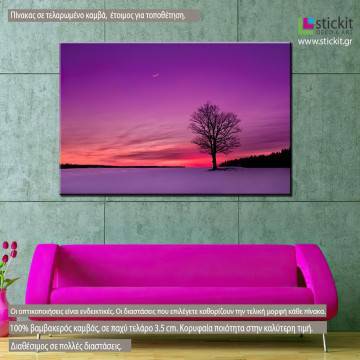 Canvas print  Twilight