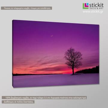 Canvas print  Twilight 2