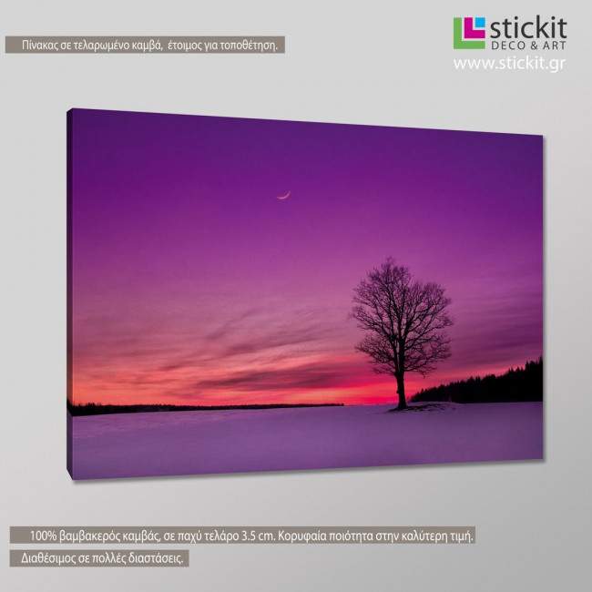 Canvas print  Twilight, side