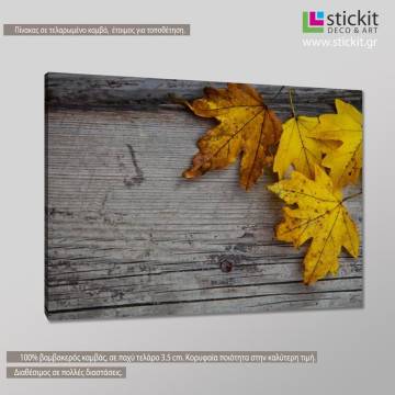 Canvas print Maple and leaves 2