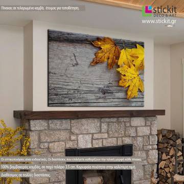 Canvas print Maple and leaves