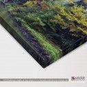 Canvas print Autumn misty park, panoramic, side