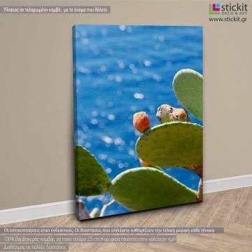 Canvas print Prickly pear View 1 2