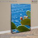 Canvas print Prickly pear, side