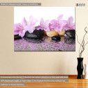 Canvas print flowers, Pink flowers