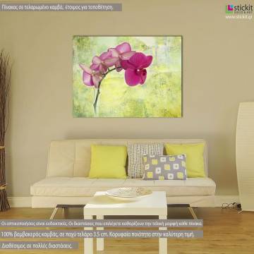 Πίνακας σε καμβά Ορχιδέα, Pink orchid