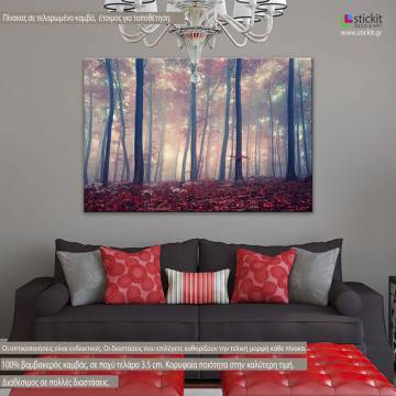 Canvas print Mystic forest
